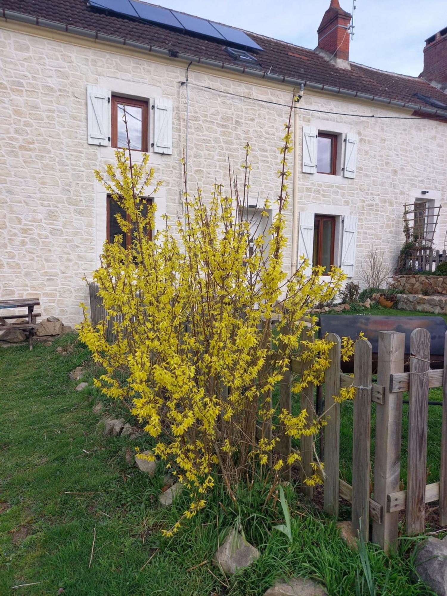 Les Papillons Villa Vrolle Bagian luar foto