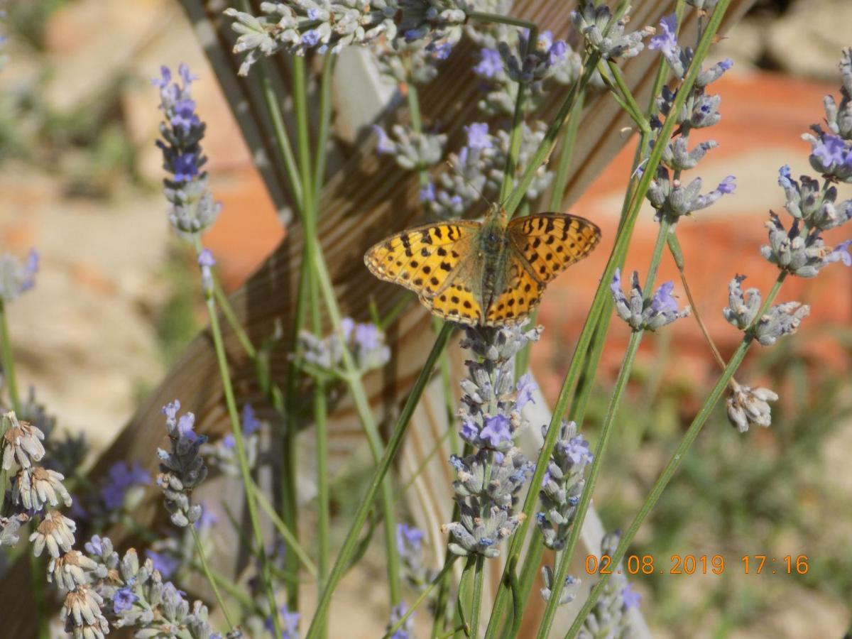 Les Papillons Villa Vrolle Bagian luar foto